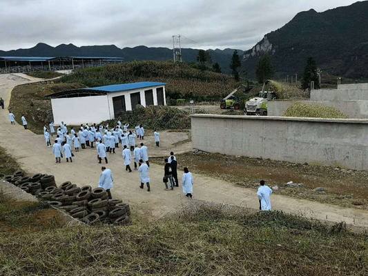 1540625696190630.jpg 11.jpg