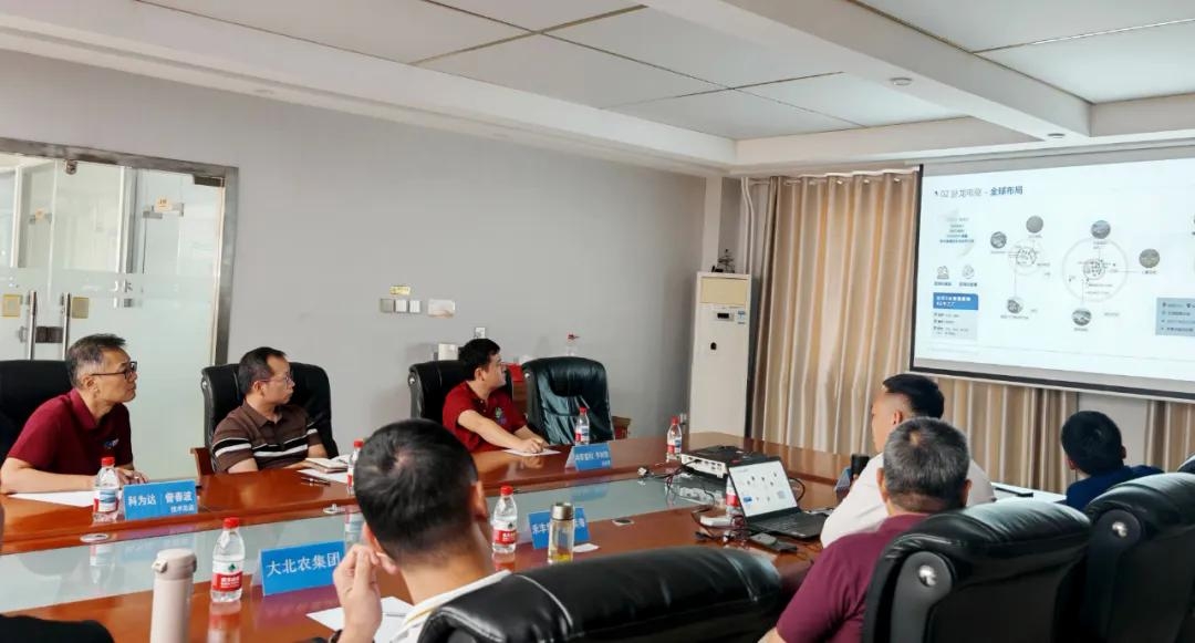 1767590821914827.jpg 2.jpg